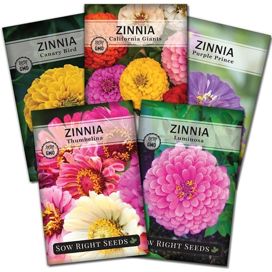 Right Hardware Zinnia Flower Seeds Image 1