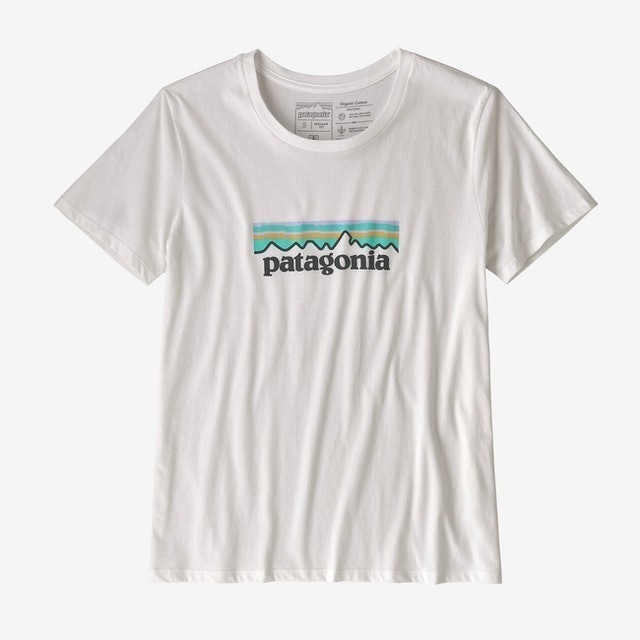 Patagonia Logo Organic Cotton Crew T-Shirt 1