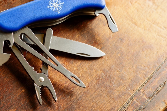 Pliers or Scissors for House Tasks