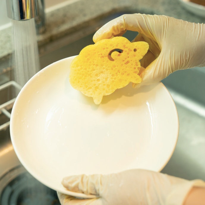 Top 18 Best Japanese Kitchen Sponges to Buy Online 2020 Tried and