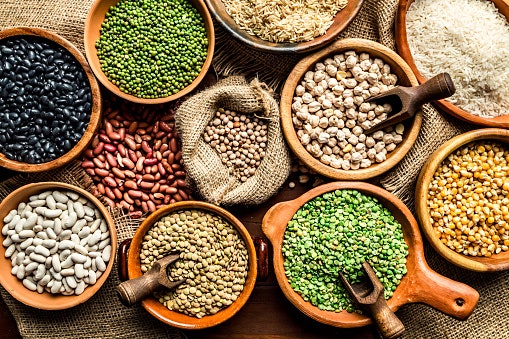 Plant-Based Proteins Are Rich in Nutrients 
