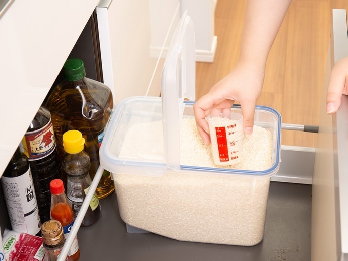 Why You Should Use a Rice Storage Container