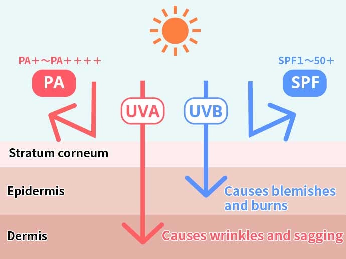 What's the Difference Between UV-A and UV-B Rays?