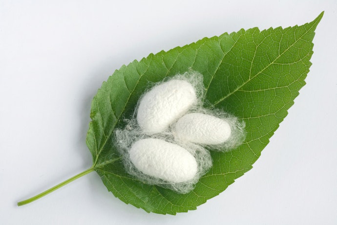 Silk Floss is Natural and Renewable