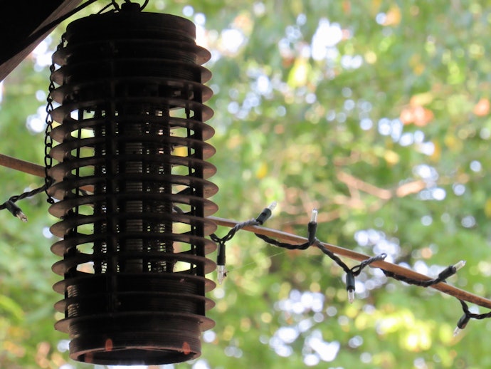 Determine Whether You'll Use the Bug Zapper Indoors or Outdoors