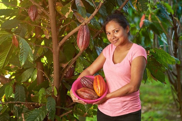 Consider Chocolate Brands Committed to Fair Trade