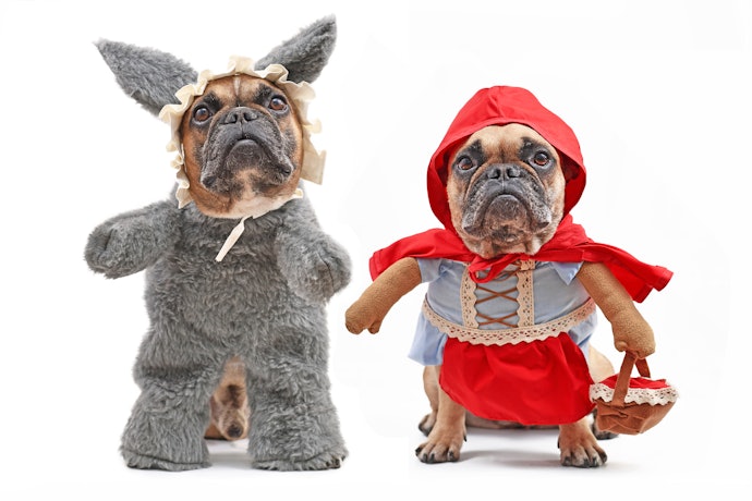Walking-Dog Costumes are Ideal for Small or Medium Pups