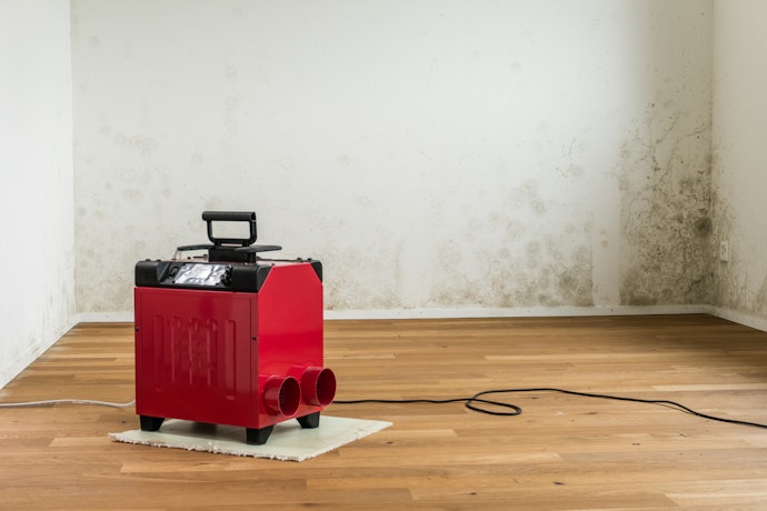 Opt for a Whole-House Dehumidifier for Extra Large Spaces