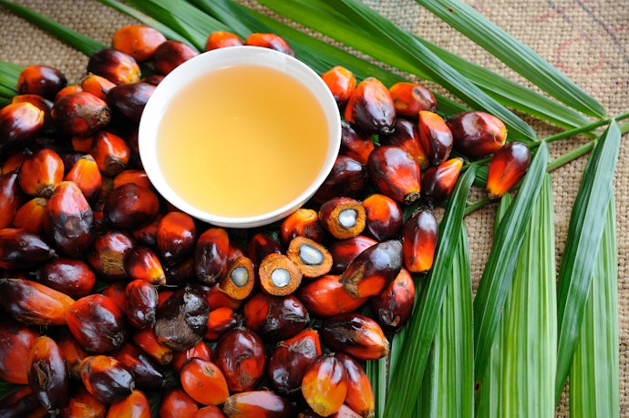 For the Ethical Consumer, Find a Product Without Palm Oil