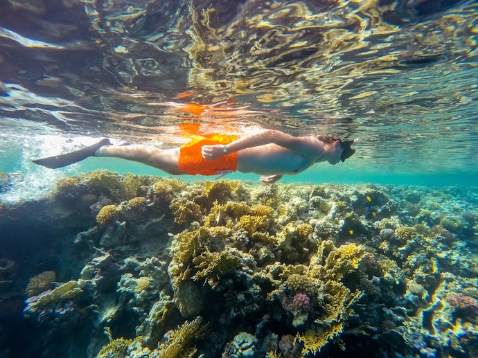 If You’re Swimming Near a Reef, Don’t Touch it or Bring it Home