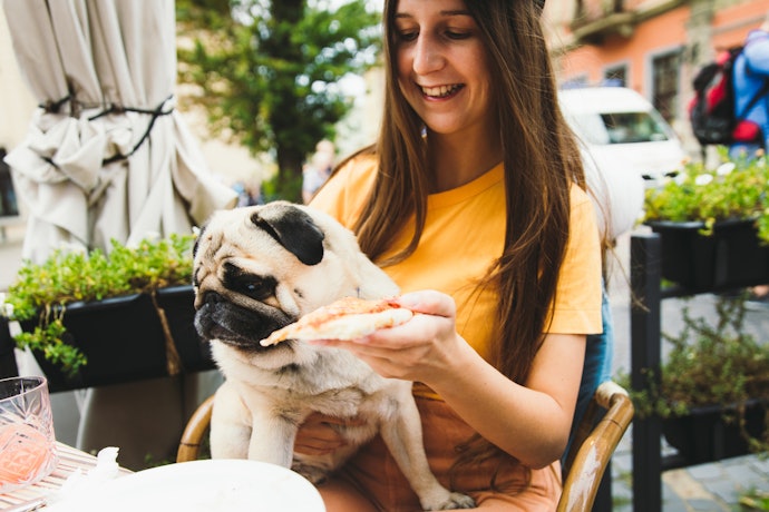 Does Your Dog Have Special Dietary Requirements?
