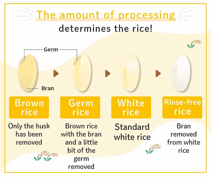 The Different Types of Japanese Rice