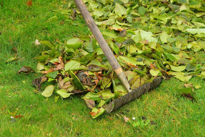 Get a Thatch Rake for Lawn Care