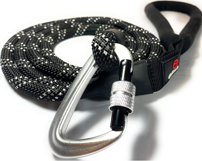 Pick a Leash Clip Style That Suits Your Dog