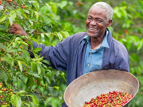 Consider Ethically Sourced Coffee