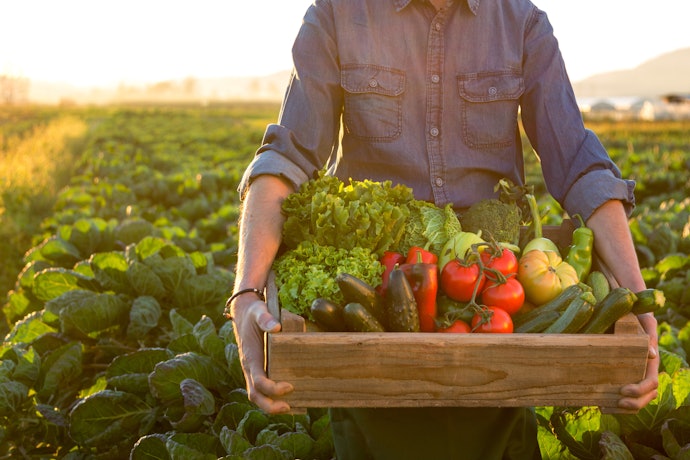 Consider Finding Local Farms or CSA Boxes 