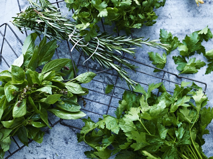 Tips for Storing Your Herbs