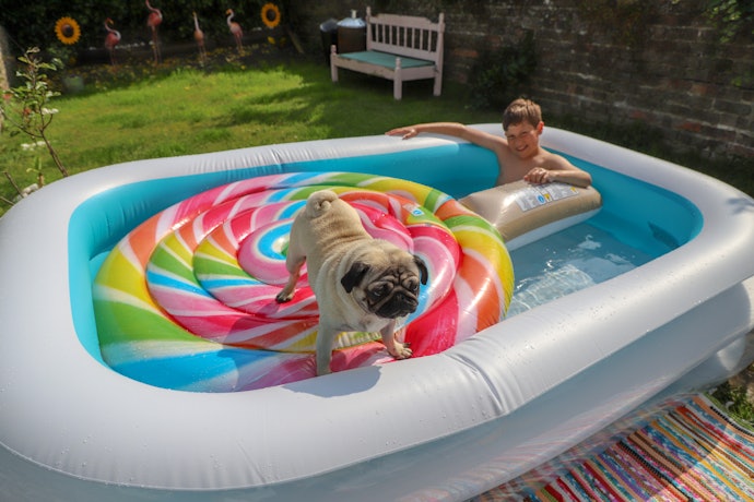 Many People Can Use Family-Friendly Inflatable Pools