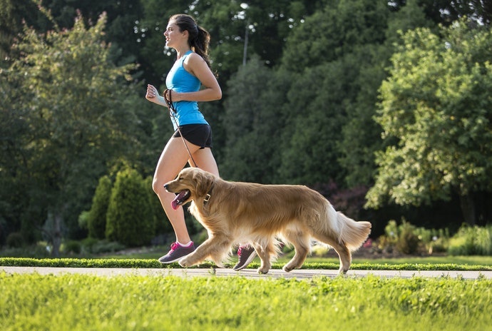 Keep Your Furry Friend Active and Healthy