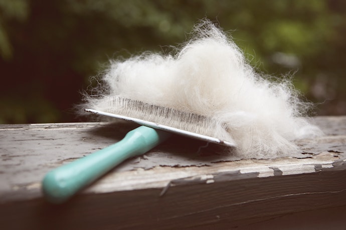 Pick a Brush That is Easy to Clean