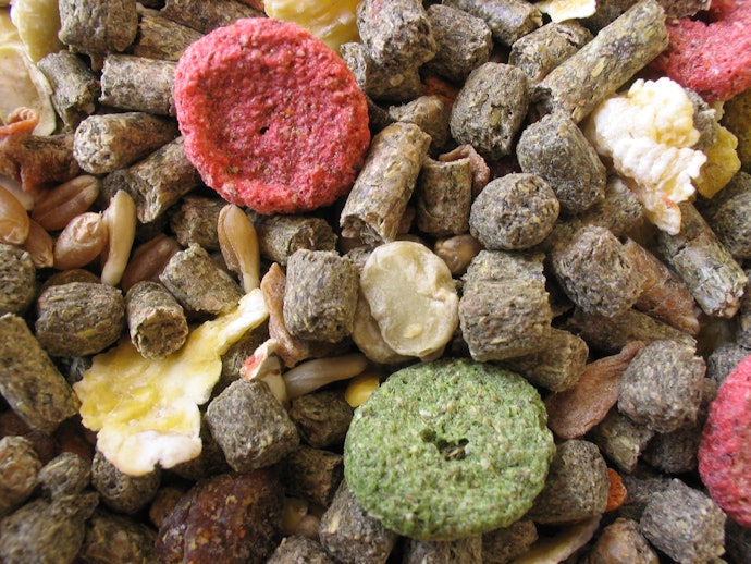 Avoid Pellet Food Mixed With Fruit and Nuts   