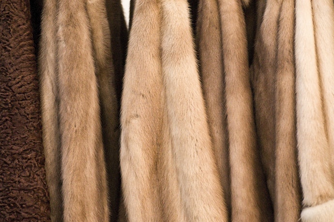 Decide Between Acrylic or Polyester Faux Furs