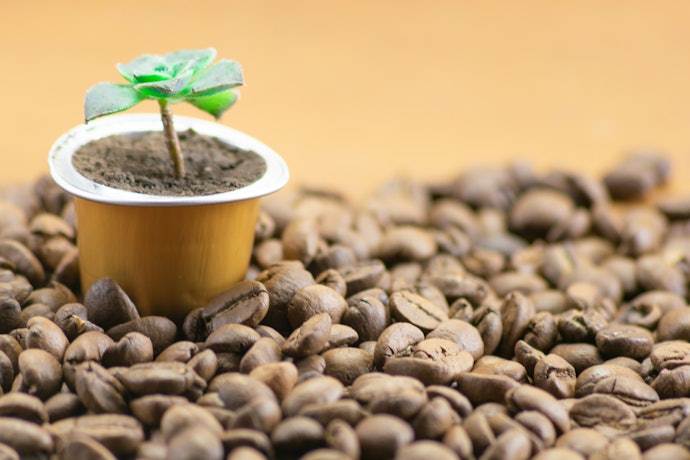 Consider Fair-Trade K-Cups for Better Conditions for Coffee Farmers