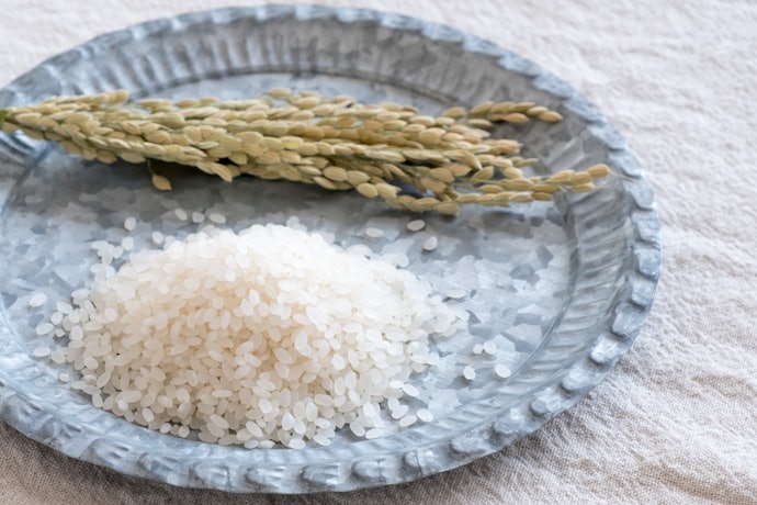 Rice Flour for a Neutral Flavor