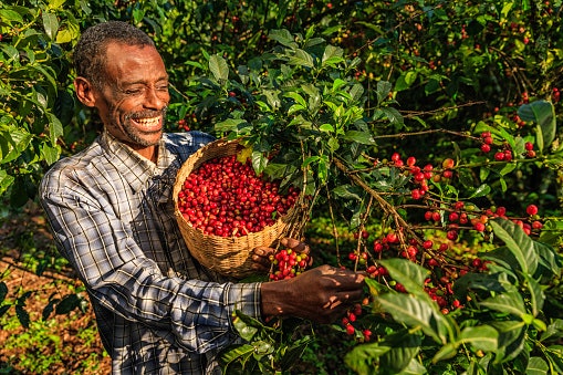 Support Coffee Farmers By Purchasing Fair-Trade Coffee