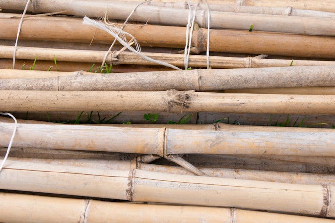 Bamboo is Eco-Friendly