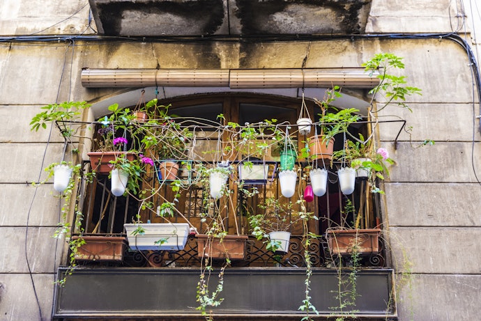 Hanging Baskets Can Be Repurposed