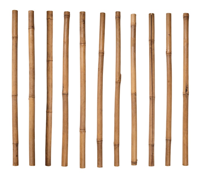 Bamboo Is Eco-Friendly and Strong