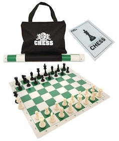 10 Best Chess Sets in 2022 (WE Games, The Noble Collection, and More) 2