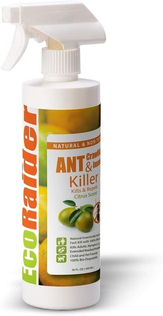 EcoRaider Ant and Crawling Insect Killer 1