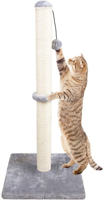 big boy scratching post