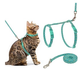 10 Best Cat Harnesses in 2022 (Kitty Holster, rabbitgoo, and More) 3