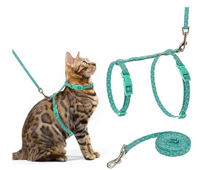 Scirokko Cat Harness and Leash Set 1