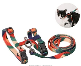 10 Best Cat Harnesses in 2022 (Kitty Holster, rabbitgoo, and More) 4