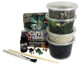 10 Best Terrarium Kits in 2022 (Hirt's Gardens and More) 3