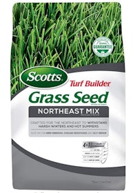 10 Best Grass Seed in 2022 (Master Gardener-Reviewed) 5