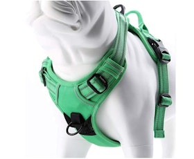 10 Best No-Pull Dog Harnesses in 2022 (PetSafe and More) 2