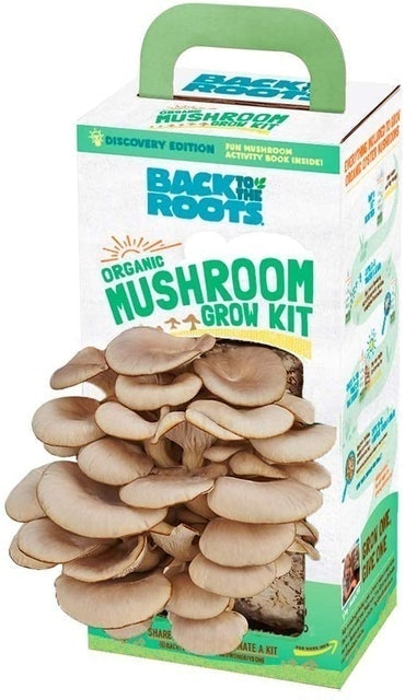 Back to the Roots Organic Mushroom Growing Kit 1