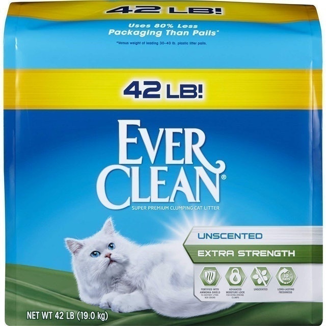 Ever Clean Extra Strength Cat Litter 1