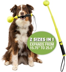 9 Best Ball Launchers for Dogs in 2022 (Nerf Dog, Chuckit!, and More) 3