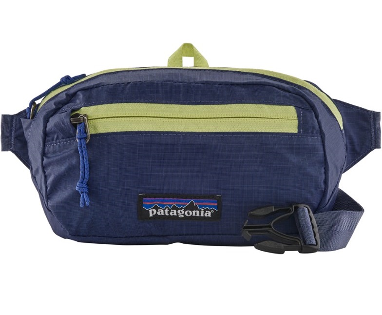 Top 10 Best Fanny Packs for Men in 2021 (Patagonia, Carhartt, and More