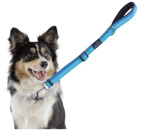 10 Best Dog Leashes for Running in 2022 (TaoTronics, oneisall, and More) 4