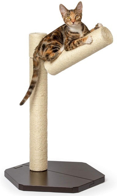 PetFusion Branch-Out Cat Scratching Post 1