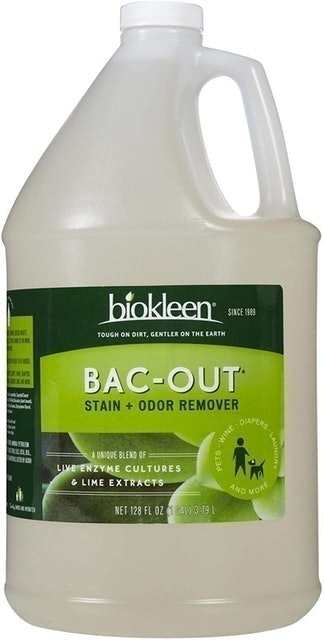 Biokleen Bac-Out Stain + Odor Remover 1
