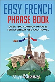 10 Best French Learning Books in 2022 (Berlitz, Practice Makes Perfect, and More) 5