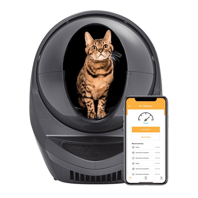 Top 10 Best Robotic Litter Boxes in 2021 (LitterRobot, CatGenie, and